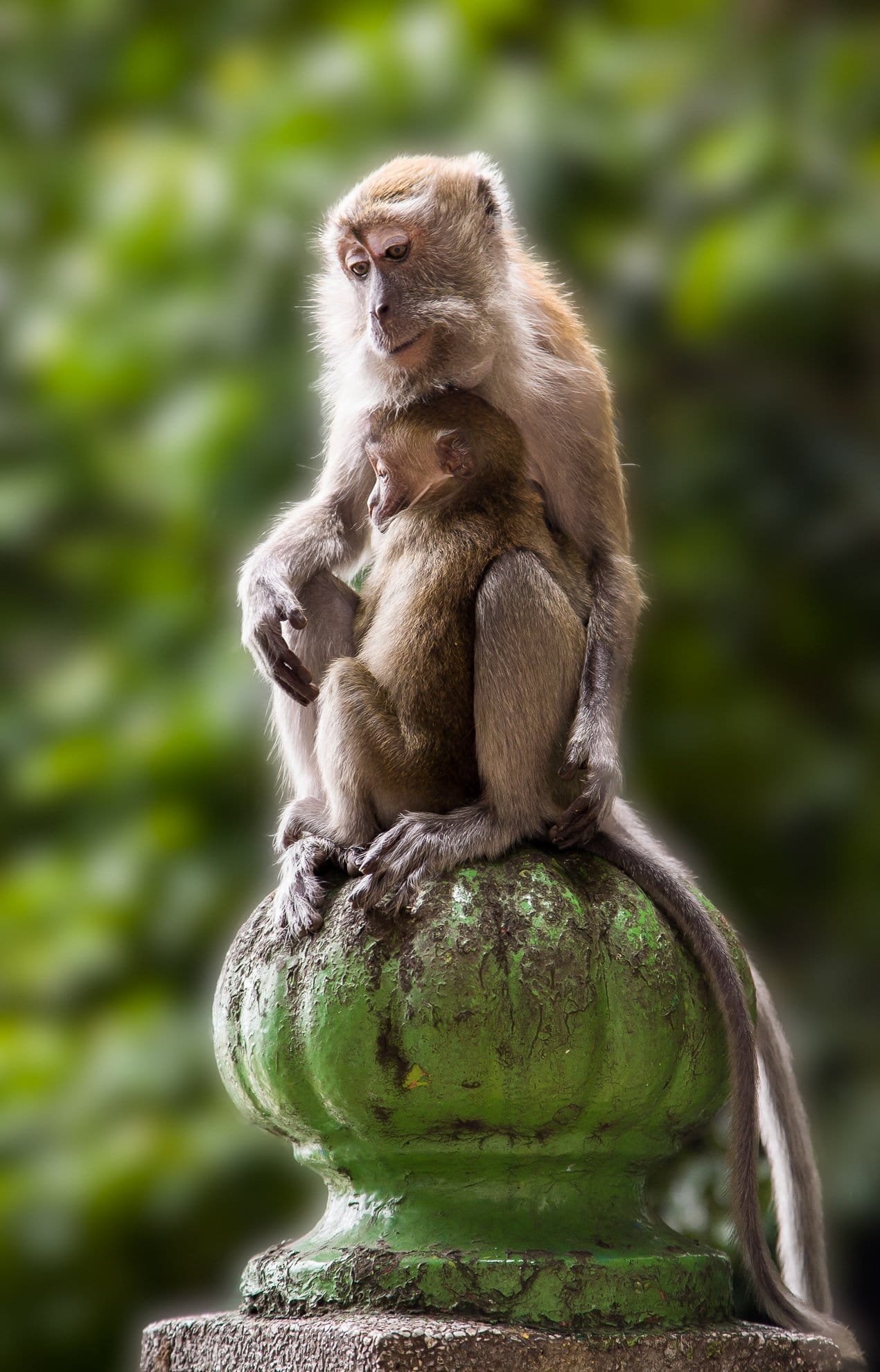 Mother and Child
