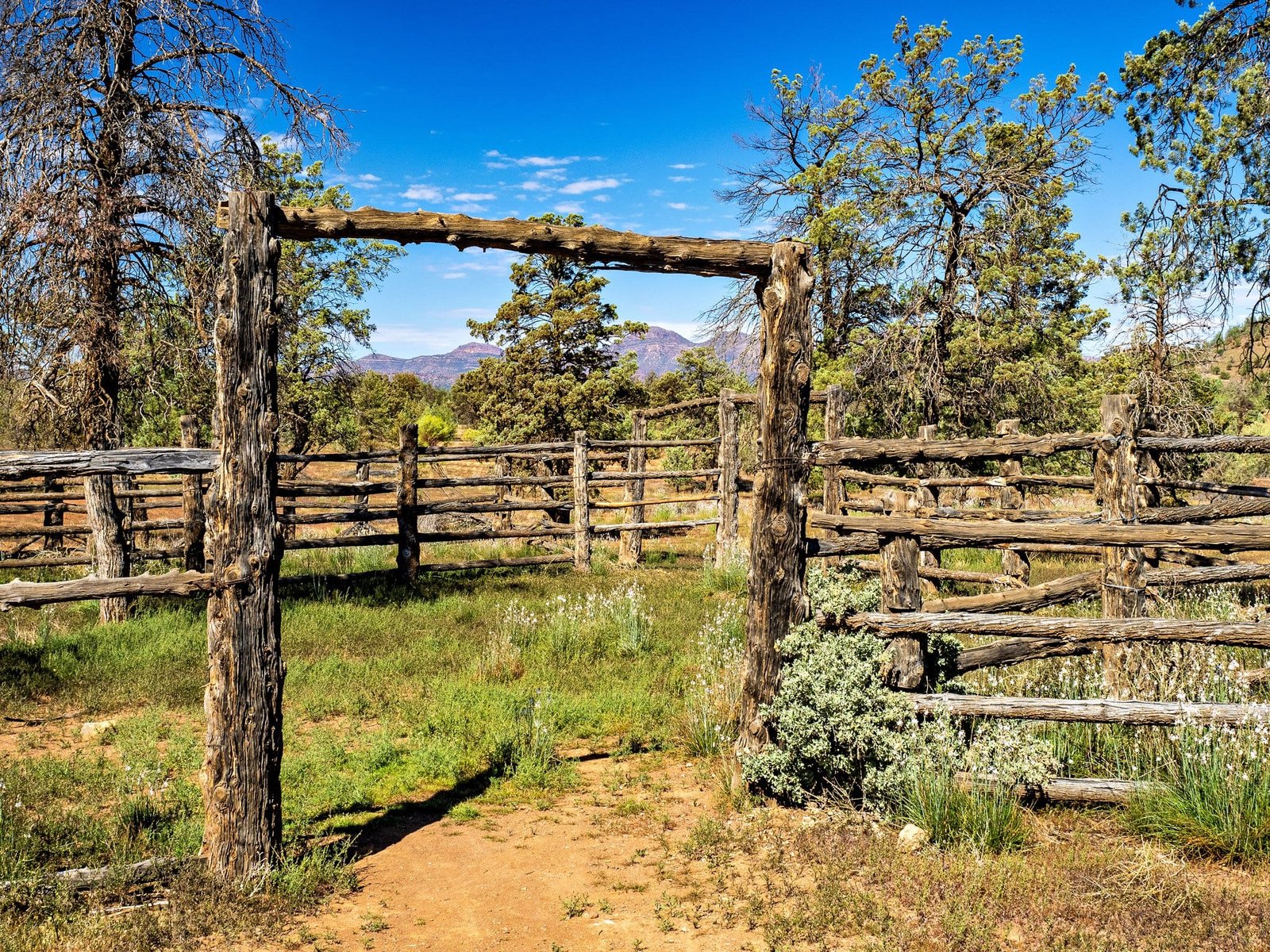 The Horse Yard