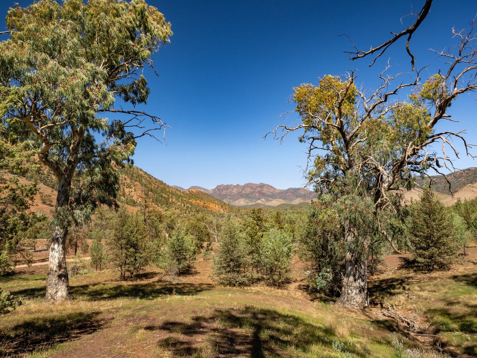 Bunyeroo Gorge Car Park